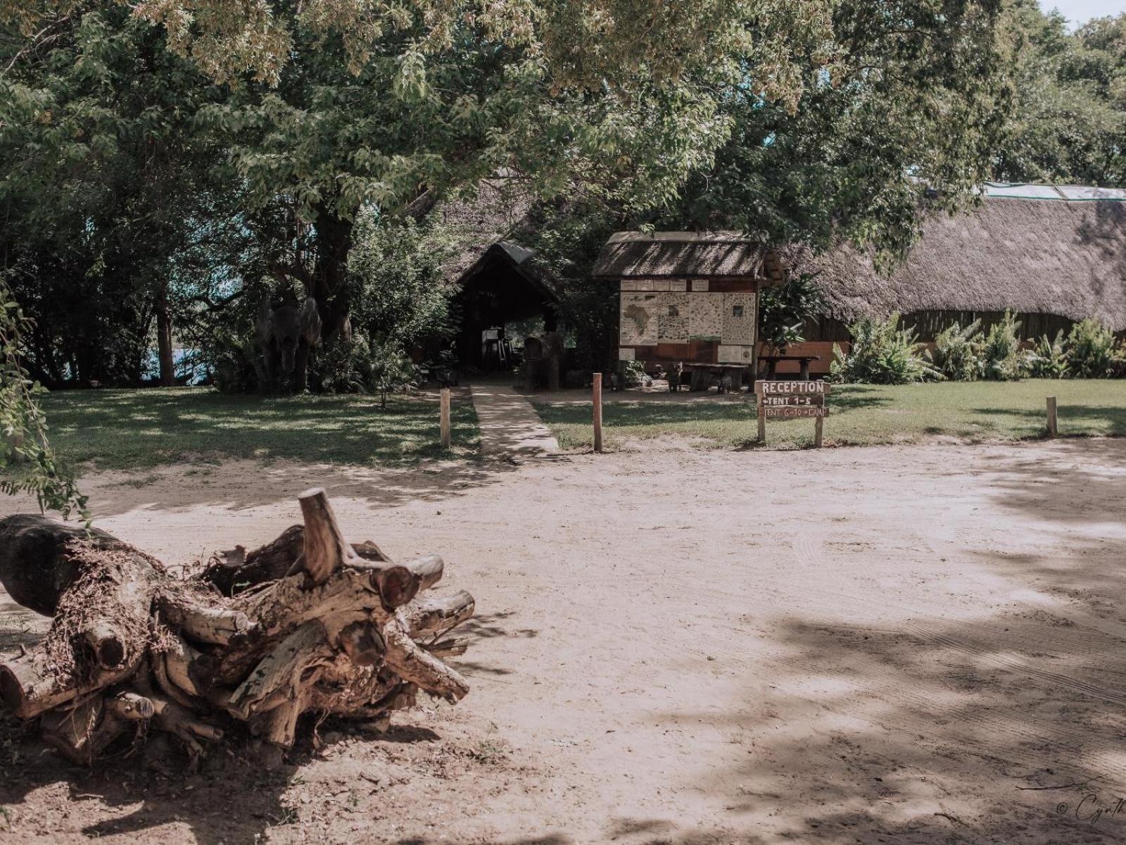 Ndhovu Safari Lodge Mahango Luaran gambar